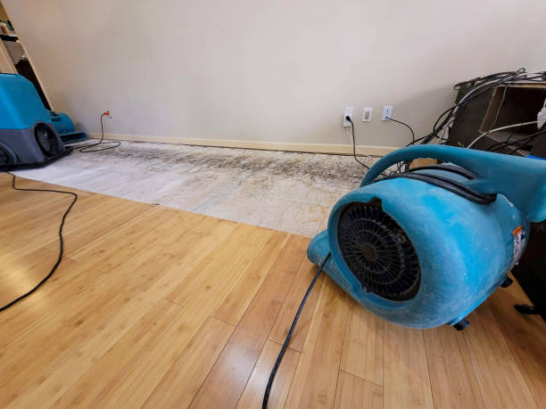 Professional Sewage Cleanup technician working in Rockport, ME